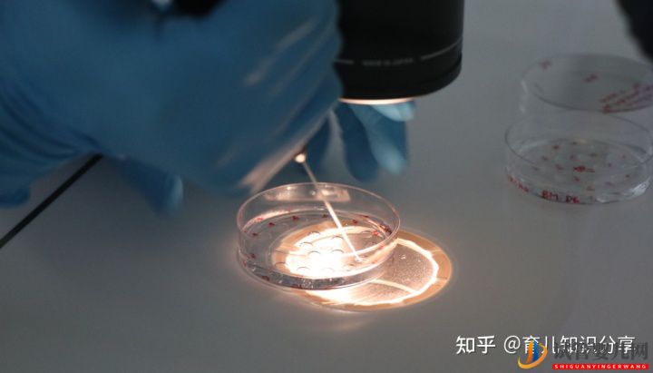 去泰國做試管需要條件要準生證嗎(圖1)