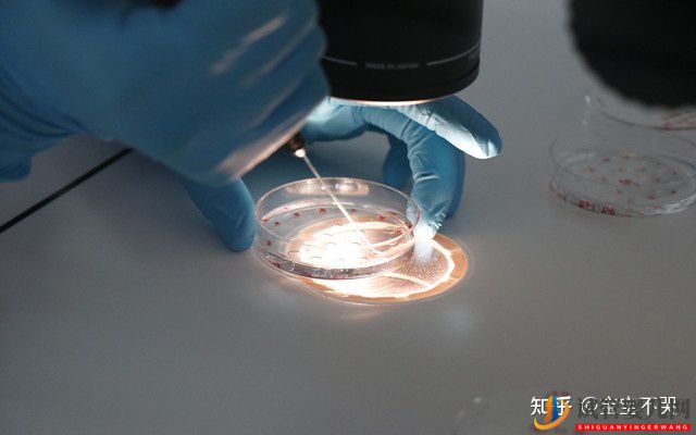 去泰國做試管需要準備好哪些證件(圖2) 去泰國做試管需要準備好哪些證件(圖1)