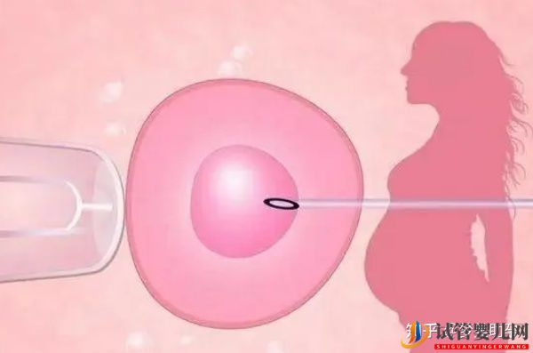 美國試管嬰兒到底強在哪兒,究竟是什么水平(圖1)