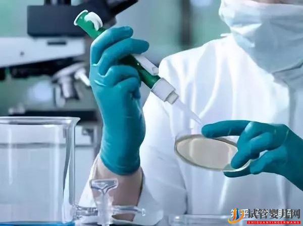 美國試管嬰兒到底強在哪兒,究竟是什么水平(圖5)