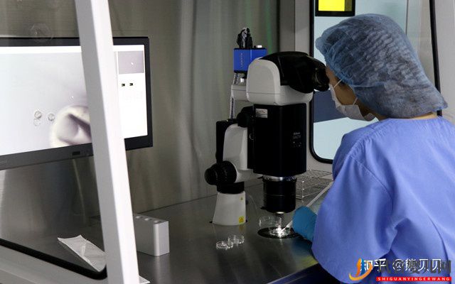 去泰國做試管嬰兒有哪些優點(圖1)