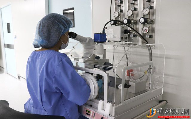 去泰國做試管嬰兒有哪些優點(圖2)