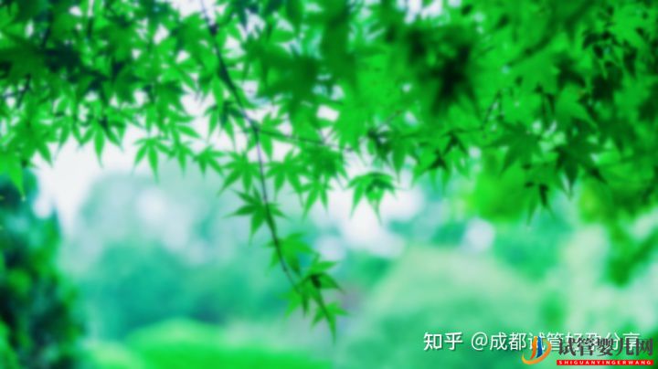 去泰國做試管怎么樣費用是多少(圖1)