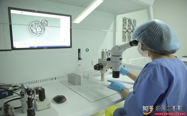 泰國做試管嬰兒優勢有哪些(圖2)