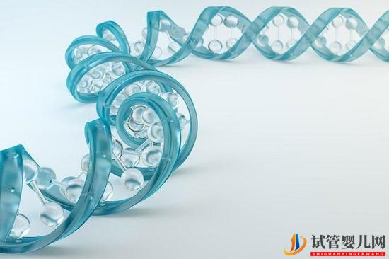 試管嬰兒檢查性激素六項要多少錢？(圖1)