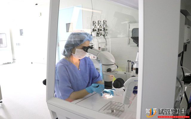 泰國第三代試管嬰兒費(fèi)用大概需要多少(圖1)