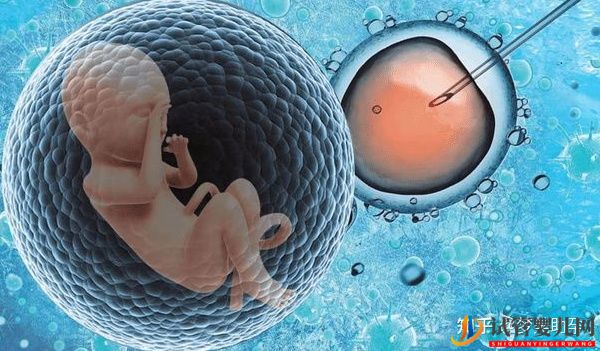 赴美試管前行程安排與美國試管嬰兒的步驟流程詳解(圖2)