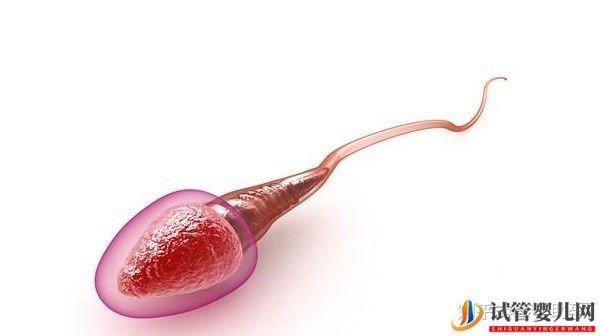 赴美試管前行程安排與美國試管嬰兒的步驟流程詳解(圖7)