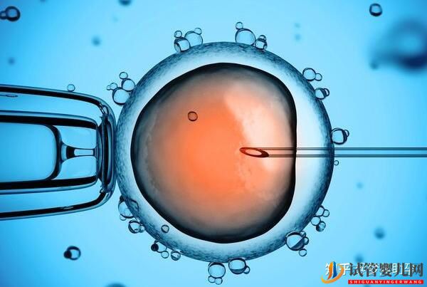 赴美試管前行程安排與美國試管嬰兒的步驟流程詳解(圖8)