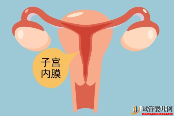 赴美試管前行程安排與美國試管嬰兒的步驟流程詳解(圖11)