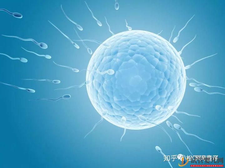 關于美國試管嬰兒技術的問題一網打盡(圖1)