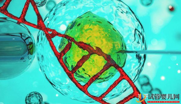 教你自測美國試管嬰兒成功率(圖4)