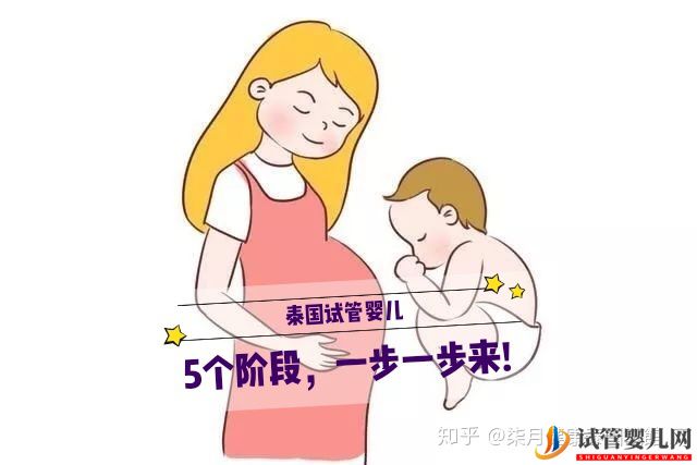 做泰國試管嬰兒,5個階段,一步一步來!(圖1)