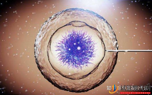 為什么要選擇泰國試管嬰兒(圖1)