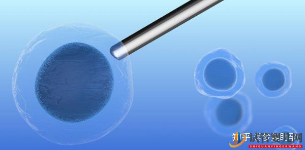 赴美試管嬰兒的成功率有多少呢(圖4)