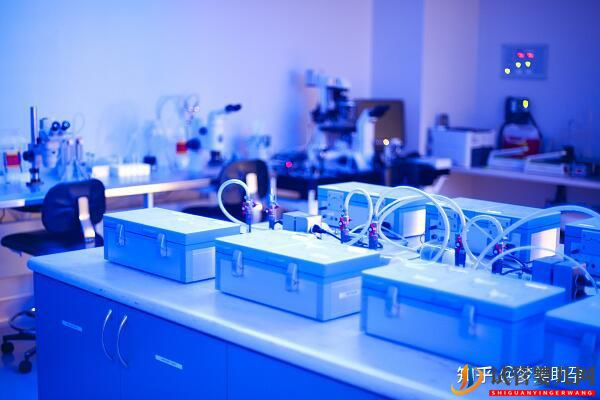 赴美試管嬰兒的成功率有多少呢(圖8)