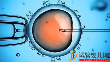 海外熱門試管嬰兒醫(yī)院排名，你選哪個？(圖1)