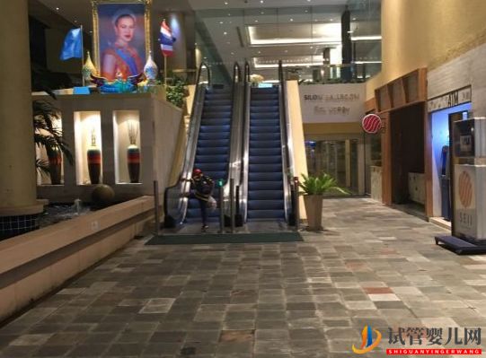 泰國試管的一些心得(圖3)