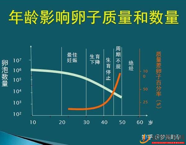 38歲高齡女性赴美試管成功率是多少(圖2)