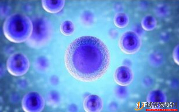 38歲高齡女性赴美試管成功率是多少(圖6)