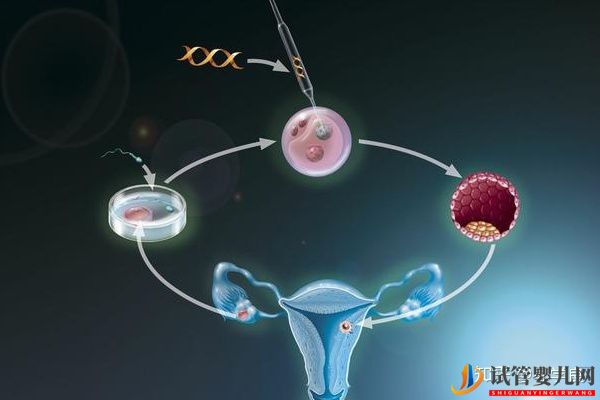 45歲大齡夫妻赴美做試管嬰兒,成功經驗分享(圖3)