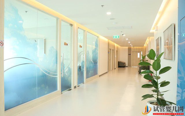 泰國試管十大醫院排名真實嗎(圖3)