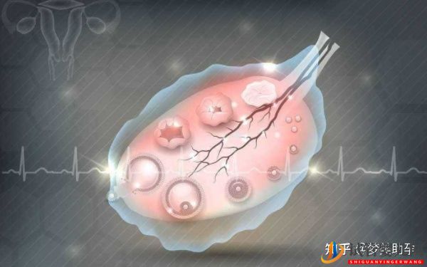 多次試管失敗,赴美試管成功率如何(圖6)