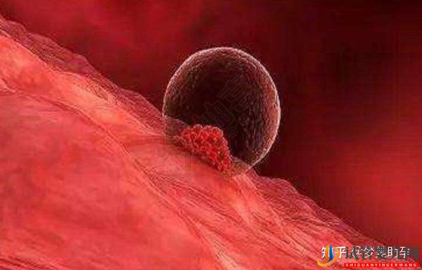 多次試管失敗,赴美試管成功率如何(圖8)