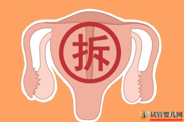 患有縱膈子宮赴美做試管能妊娠嗎(圖4)