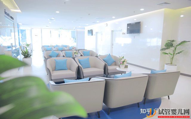 泰國試管排名醫院分析(圖3)