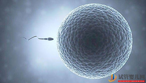 3點告訴你什么樣的精子才符合試管嬰兒的使用標準(圖1)