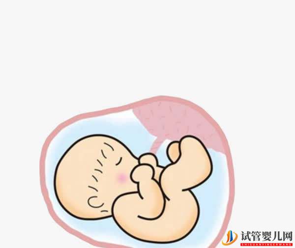 盤點產后下奶的食物有哪些，必吃的就有豆腐、豬蹄、木瓜等(圖1)