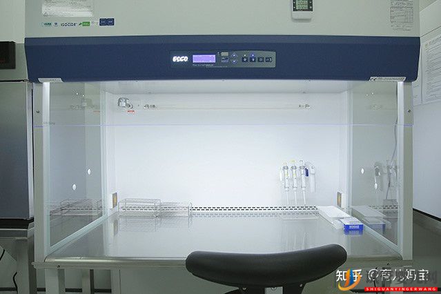 泰國試管嬰兒技術排名如何看完再說吧(圖3)