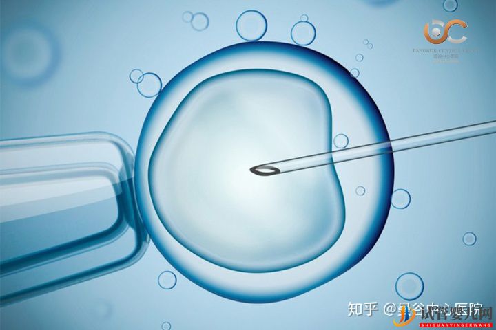 泰國試管嬰兒體外受精術(shù)步驟解讀(圖1)