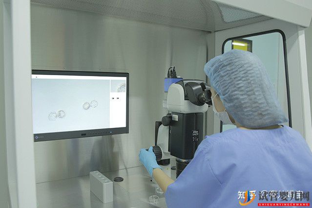 泰國試管嬰兒移植正規嗎(圖1)