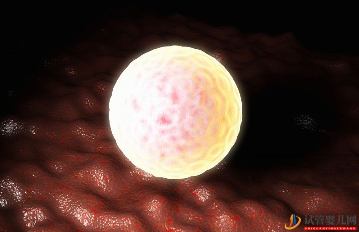 泰國試管嬰兒優勢性價比再高,成功率卻離不開這(圖1)