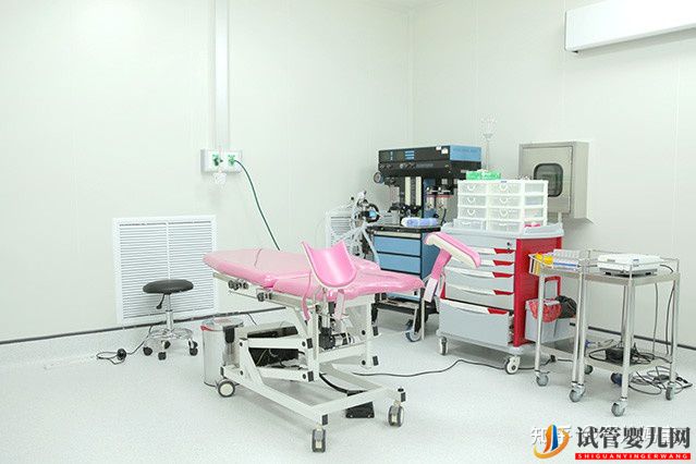 泰國最有名的醫院排名試管移植(圖3)