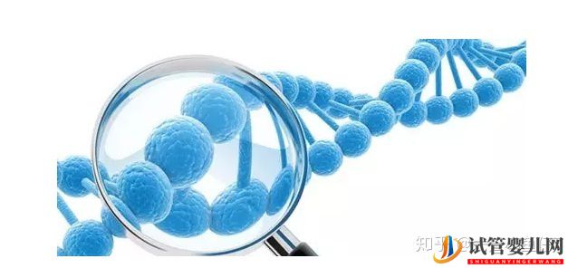 備受歡迎的泰國試管嬰兒,這四大技術(shù)優(yōu)勢你還不知道(圖1)