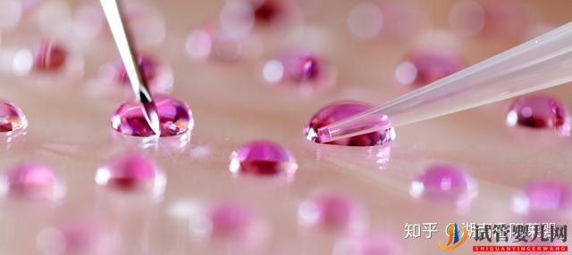 帶你解讀泰國試管嬰兒的方方面面(圖1)