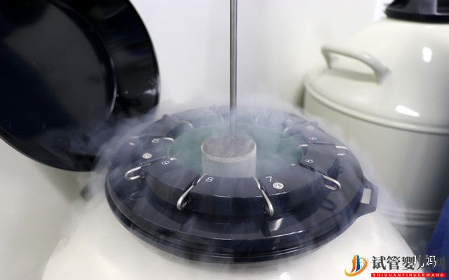 第三代泰國試管成功率分析(圖2)