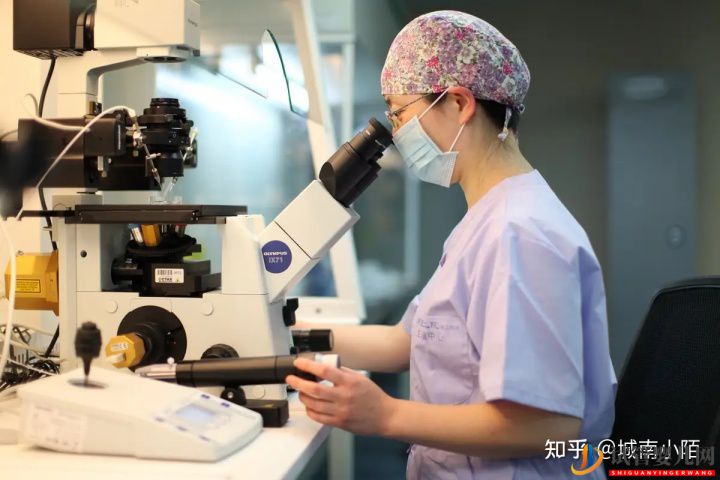 三代試管對女性身體有很大傷害嗎(圖5)