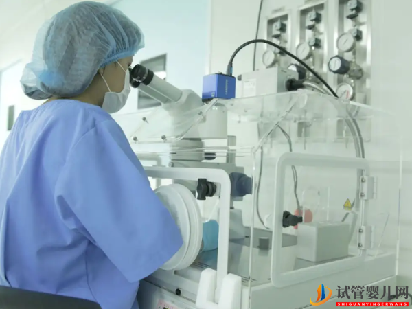 12個胚胎做三代能得多少個？看完其篩查通過率就知道了(圖1)