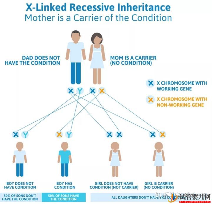 “傳男不傳女”的不一定是寶貝還有可能是遺傳疾病(試管嬰兒費(fèi)用大概要多少錢)(圖8) “傳男不傳女”的不一定是寶貝還有可能是遺傳疾病(圖2)