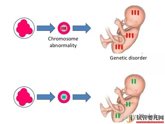 “傳男不傳女”的不一定是寶貝還有可能是遺傳疾病(試管嬰兒費(fèi)用大概要多少錢)(圖14) “傳男不傳女”的不一定是寶貝還有可能是遺傳疾病(圖4)