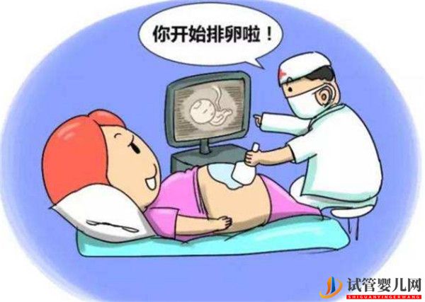 高齡女性通過試管嬰兒助孕監測促排卵有哪些意義(圖1)