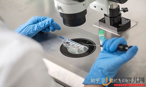 國內外第三代試管嬰兒的區別(圖1)