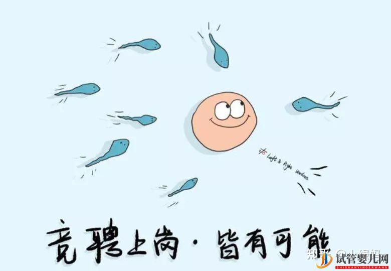 3代試管技術真的比1代2代試管好嗎(圖2)