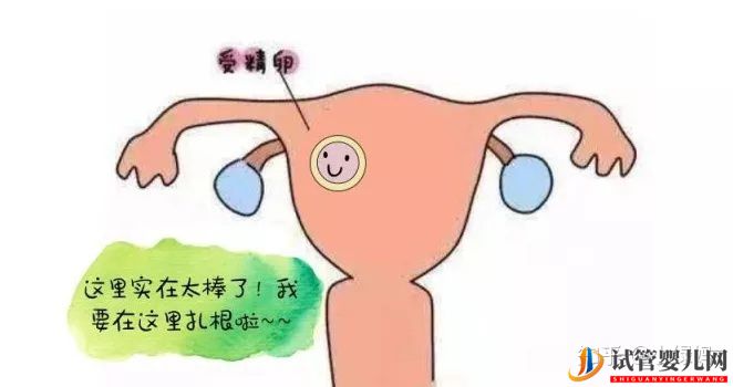 3代試管技術真的比1代2代試管好嗎(圖7)