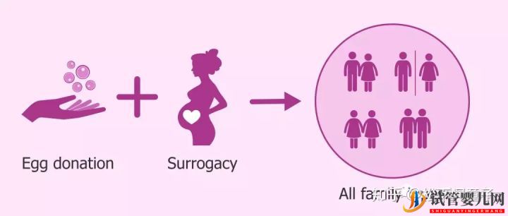 同性戀人赴美國試管嬰兒應(yīng)該做什么準(zhǔn)備(試管嬰兒多少錢)(圖5) 同性戀人赴美國試管嬰兒應(yīng)該做什么準(zhǔn)備(圖5)