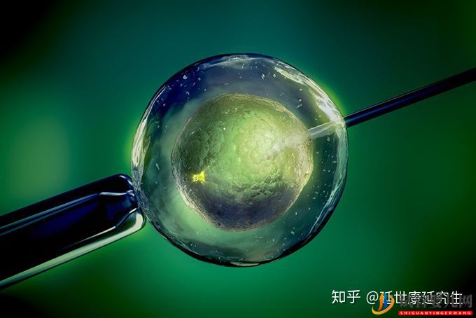 選擇泰國試管嬰兒的8大理由!(圖2)